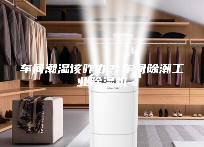 車間潮濕該咋辦?車間除潮工業(yè)除濕機(jī)