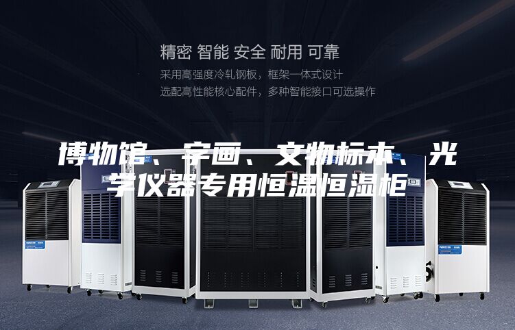 博物館、字畫、文物標本、光學儀器專用恒溫恒濕柜