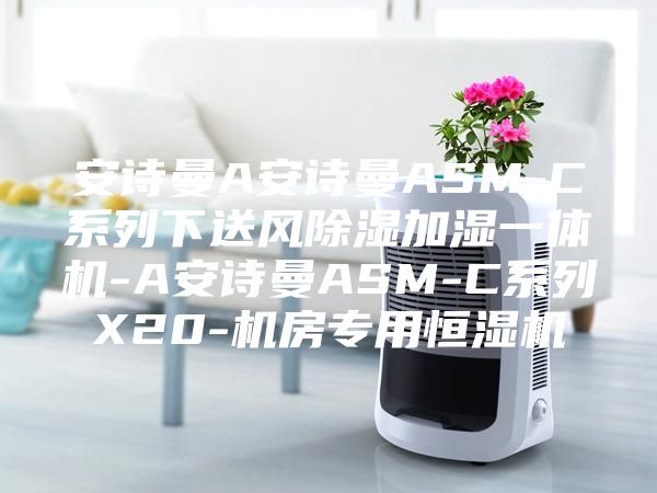 安詩曼A安詩曼ASM-C系列下送風除濕加濕一體機-A安詩曼ASM-C系列X20-機房專用恒濕機