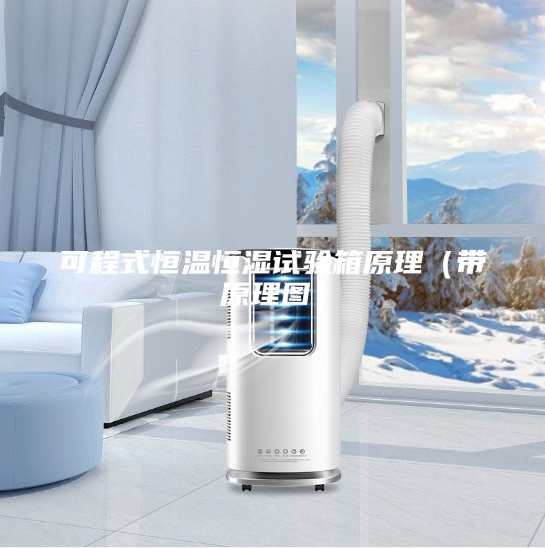 可程式恒溫恒濕試驗箱原理（帶原理圖）
