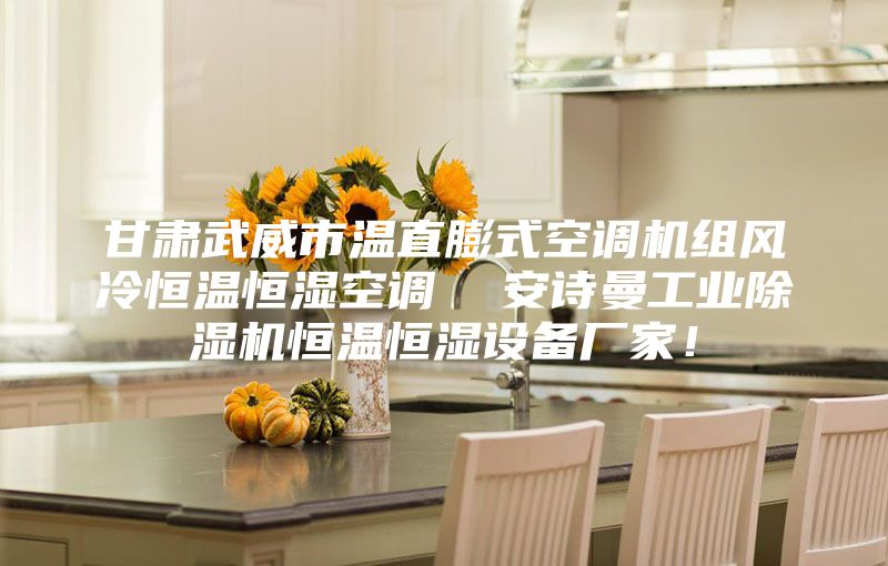 甘肅武威市溫直膨式空調機組風冷恒溫恒濕空調  安詩曼工業除濕機恒溫恒濕設備廠家！