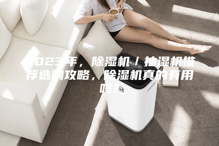 2023年，除濕機／抽濕機推薦選購攻略，除濕機真的有用嗎？