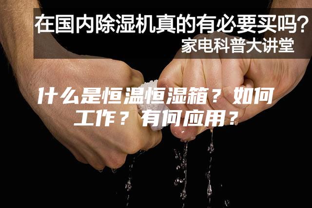 什么是恒溫恒濕箱？如何工作？有何應用？