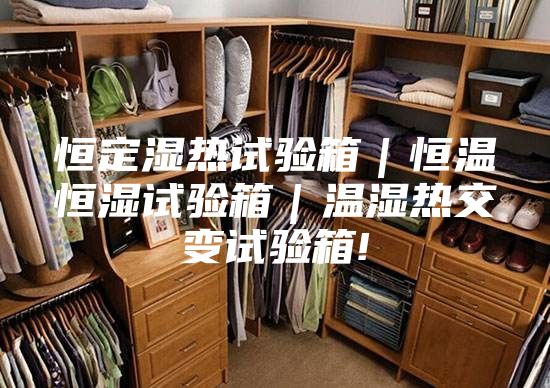 恒定濕熱試驗(yàn)箱|恒溫恒濕試驗(yàn)箱|溫濕熱交變?cè)囼?yàn)箱!