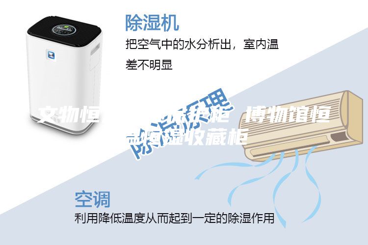 文物恒溫恒濕保護柜 博物館恒溫恒濕收藏柜