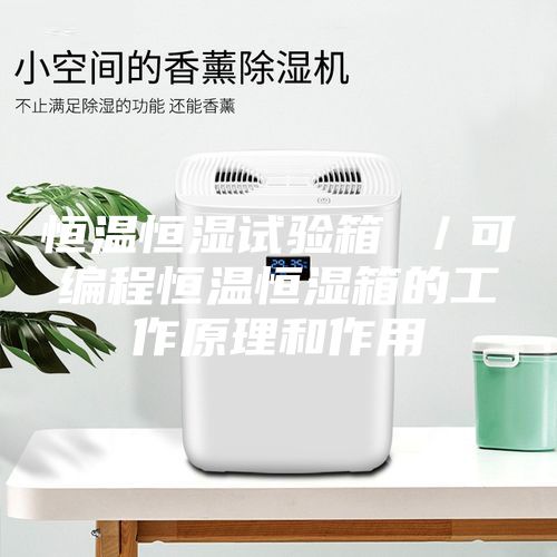 恒溫恒濕試驗箱 /可編程恒溫恒濕箱的工作原理和作用
