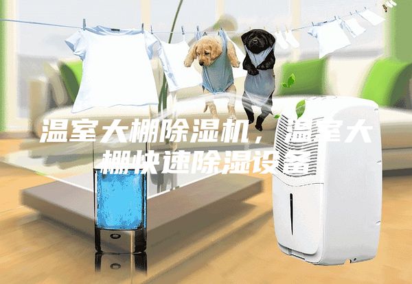 溫室大棚除濕機,溫室大棚快速除濕設備
