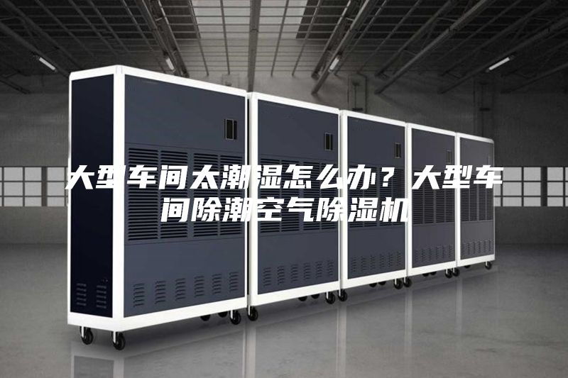 大型車間太潮濕怎么辦?大型車間除潮空氣除濕機