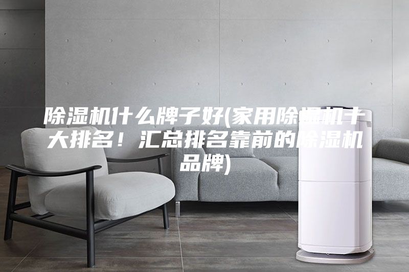 除濕機什么牌子好(家用除濕機十大排名!匯總排名靠前的除濕機品牌)