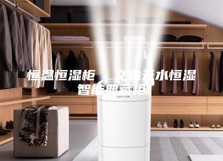 恒溫恒濕柜 文物無水恒濕智能典藏柜