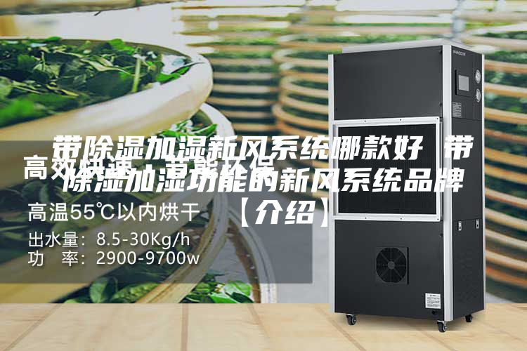 帶除濕加濕新風系統(tǒng)哪款好 帶除濕加濕功能的新風系統(tǒng)品牌【介紹】