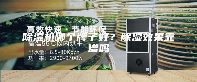 除濕機(jī)哪個(gè)牌子好?除濕效果靠譜嗎