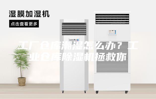 工廠倉庫潮濕怎么辦？工業倉庫除濕機拯救你