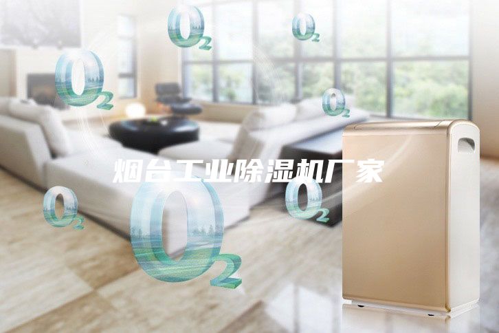 煙臺(tái)工業(yè)除濕機(jī)廠家