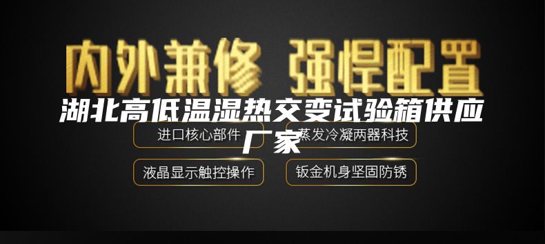 湖北高低溫濕熱交變?cè)囼?yàn)箱供應(yīng)廠家