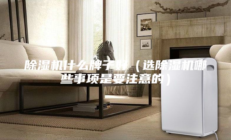 除濕機什么牌子好(選除濕機哪些事項是要注意的)