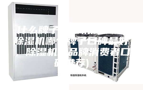 什么牌子除濕機(jī)質(zhì)量好(除濕機(jī)哪個(gè)牌子口碑最好,除濕機(jī)的品牌消費(fèi)者口碑推薦)