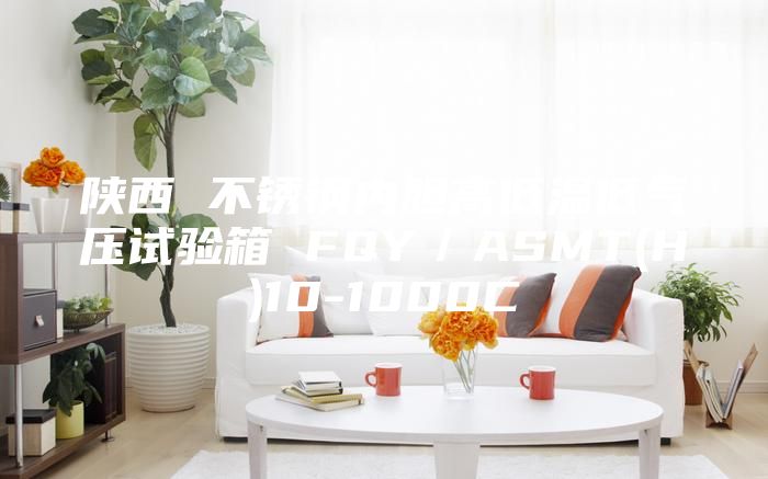 陜西 不銹鋼內(nèi)膽高低溫低氣壓試驗(yàn)箱 FQY/ASMT(H)10-1000C