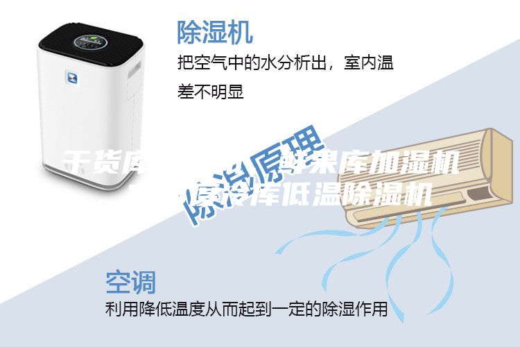 干貨庫除濕機(jī),鮮果庫加濕機(jī),2-8度冷庫低溫除濕機(jī)