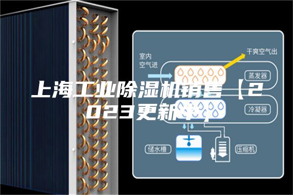 上海工業(yè)除濕機銷售【2023更新中】