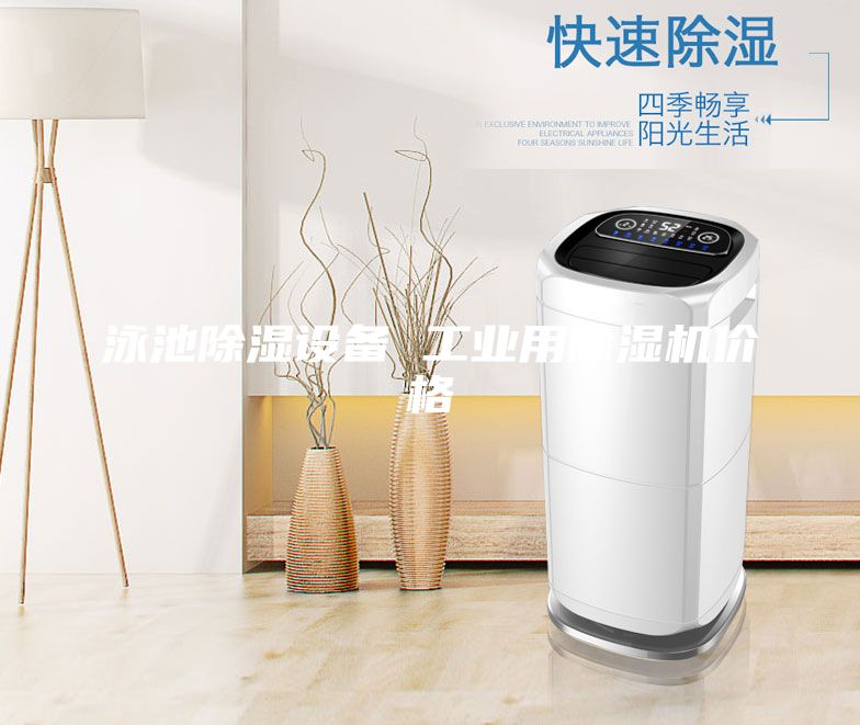 泳池除濕設(shè)備 工業(yè)用除濕機(jī)價(jià)格