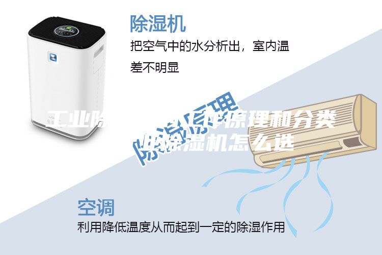 工業除濕機的工作原理和分類,行業除濕機怎么選