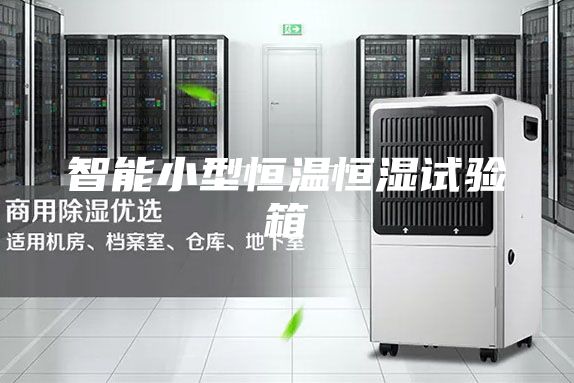 智能小型恒溫恒濕試驗(yàn)箱