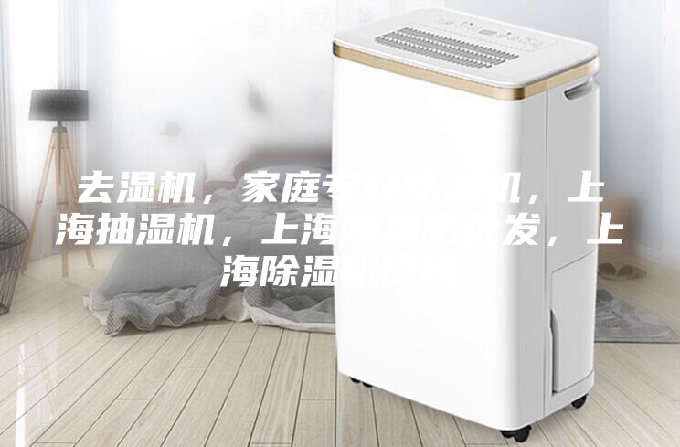 去濕機(jī)，家庭專業(yè)除濕機(jī)，上海抽濕機(jī)，上海除濕機(jī)批發(fā)，上海除濕機(jī)價錢