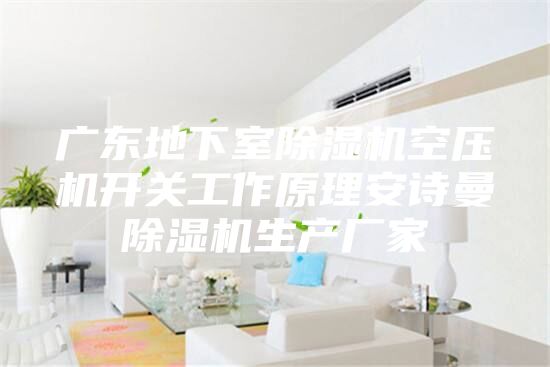 廣東地下室除濕機(jī)空壓機(jī)開關(guān)工作原理安詩曼除濕機(jī)生產(chǎn)廠家