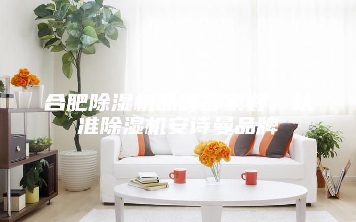 合肥除濕機品牌哪家好,認準除濕機安詩曼品牌