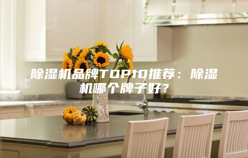 除濕機品牌TOP10推薦：除濕機哪個牌子好？