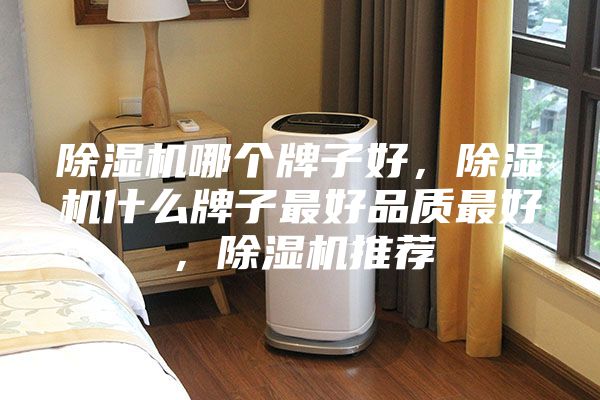 除濕機哪個牌子好，除濕機什么牌子最好品質最好，除濕機推薦