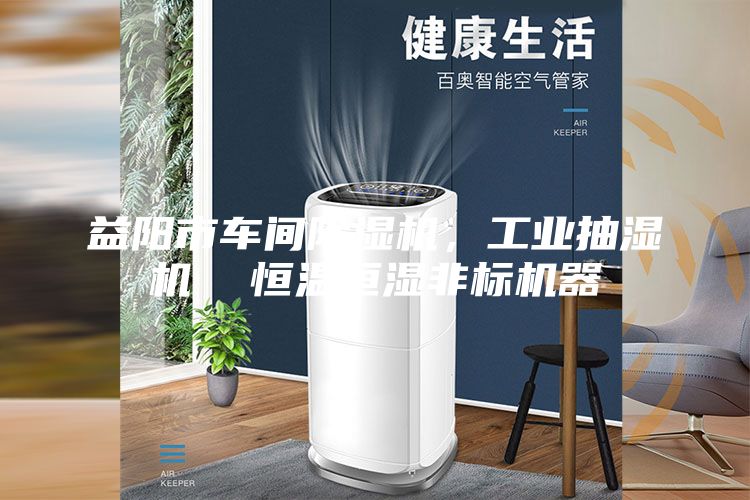 益陽市車間除濕機,工業(yè)抽濕機 恒溫恒濕非標(biāo)機器