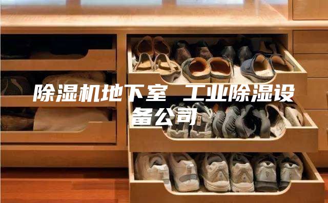除濕機地下室 工業除濕設備公司
