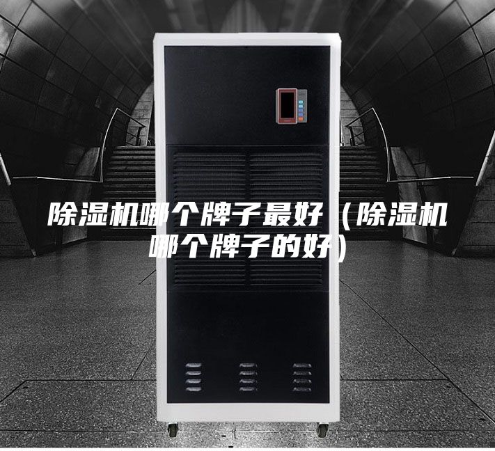 除濕機哪個牌子最好(除濕機哪個牌子的好)