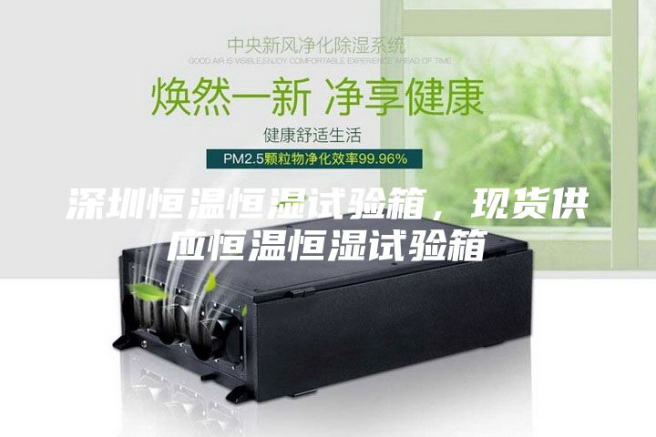 深圳恒溫恒濕試驗(yàn)箱,現(xiàn)貨供應(yīng)恒溫恒濕試驗(yàn)箱