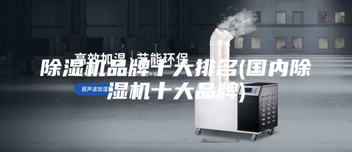 除濕機(jī)品牌十大排名(國(guó)內(nèi)除濕機(jī)十大品牌)