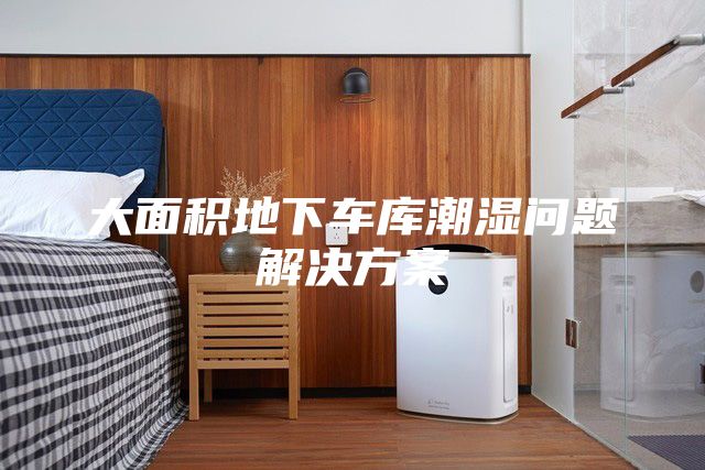 大面積地下車庫(kù)潮濕問(wèn)題解決方案