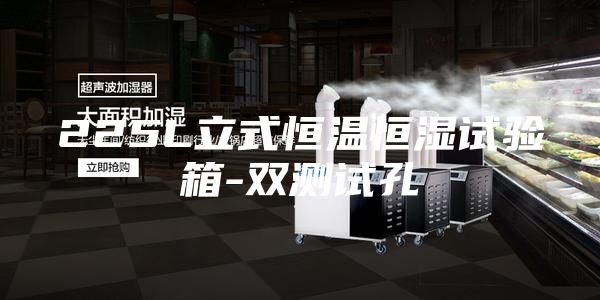 225L立式恒溫恒濕試驗(yàn)箱-雙測試孔