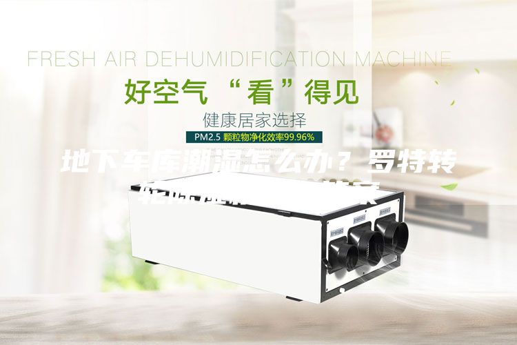 地下車(chē)庫(kù)潮濕怎么辦？羅特轉(zhuǎn)輪除濕機(jī)給你答案