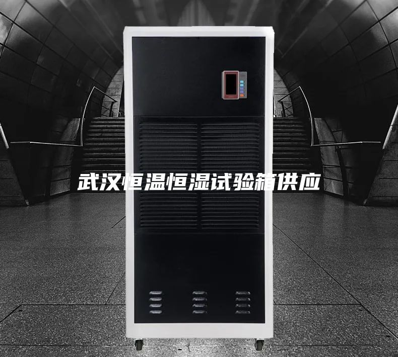 武漢恒溫恒濕試驗(yàn)箱供應(yīng)