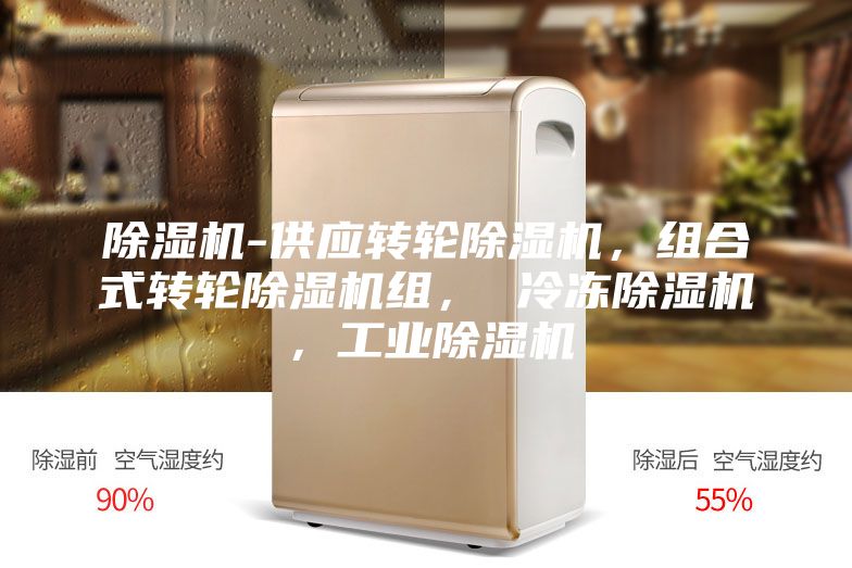 除濕機-供應轉(zhuǎn)輪除濕機，組合式轉(zhuǎn)輪除濕機組， 冷凍除濕機，工業(yè)除濕機