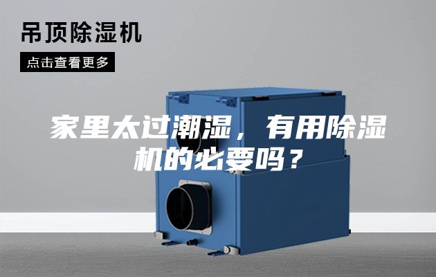 家里太過潮濕，有用除濕機的必要嗎？