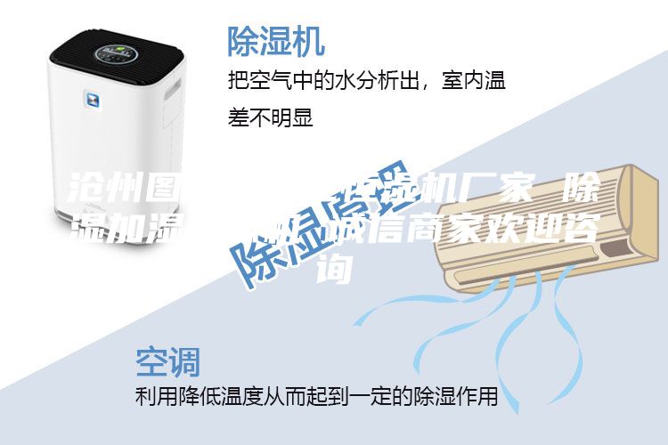 滄州圖書館凈化恒濕機(jī)廠家 除濕加濕一體機(jī) 誠信商家歡迎咨詢