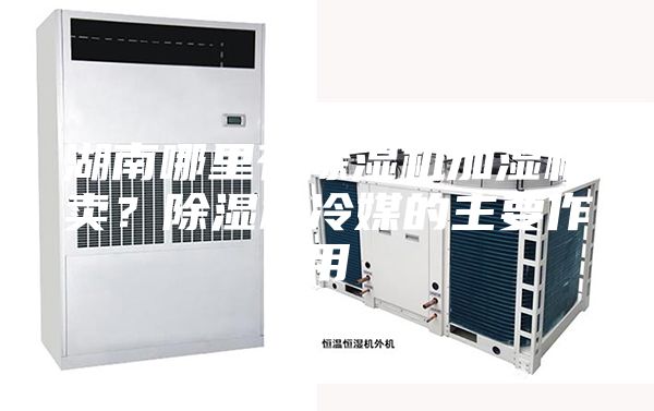 湖南哪里有除濕機(jī)加濕機(jī)賣?除濕機(jī)冷媒的主要作用