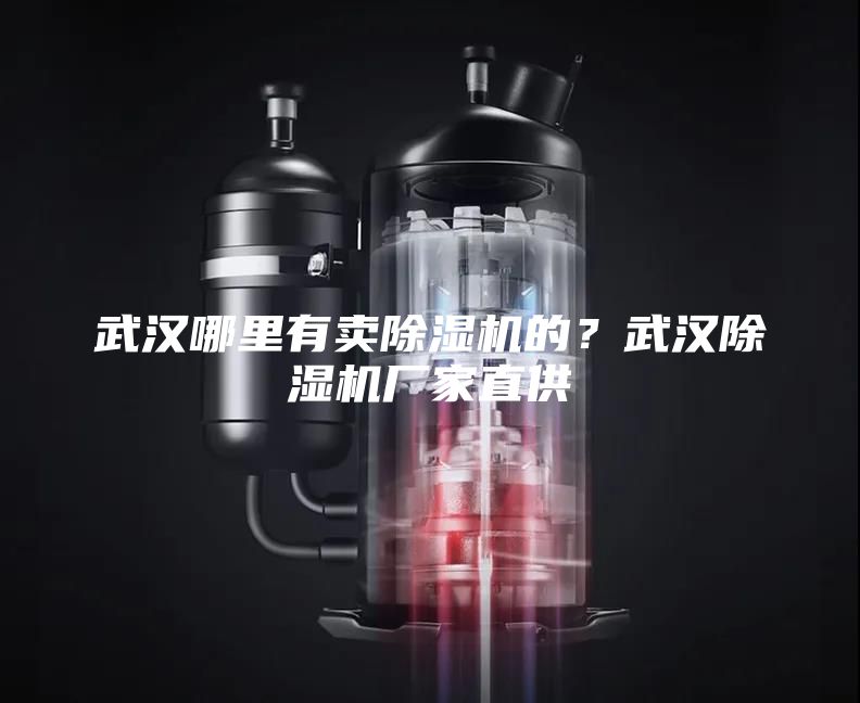 武漢哪里有賣除濕機的?武漢除濕機廠家直供