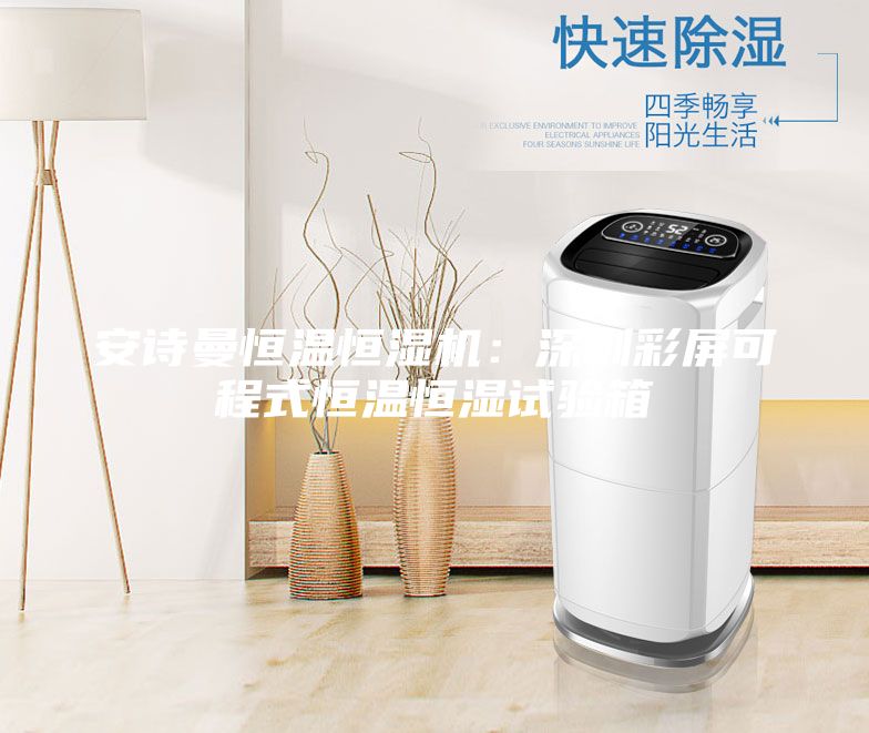 安詩(shī)曼恒溫恒濕機(jī):深圳彩屏可程式恒溫恒濕試驗(yàn)箱