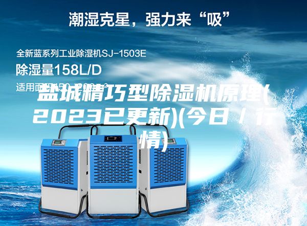 鹽城精巧型除濕機(jī)原理(2023已更新)(今日／行情)