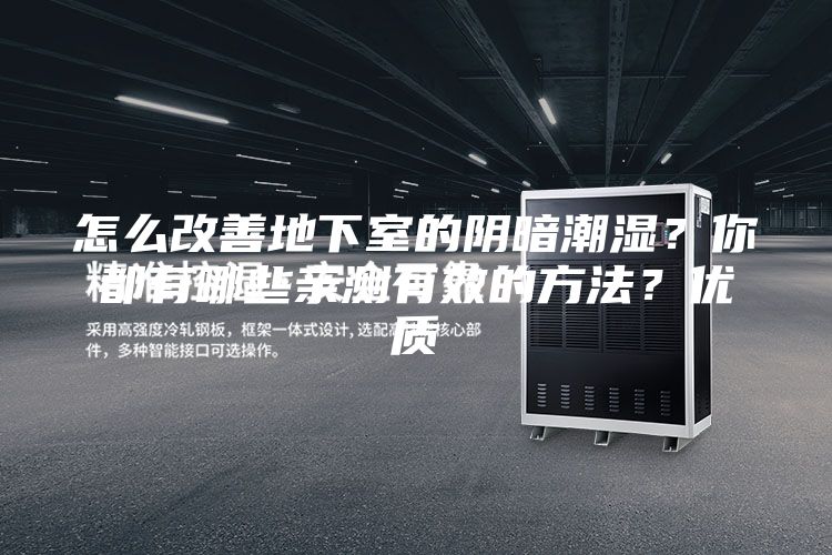 怎么改善地下室的陰暗潮濕？你都有哪些親測有效的方法？優質