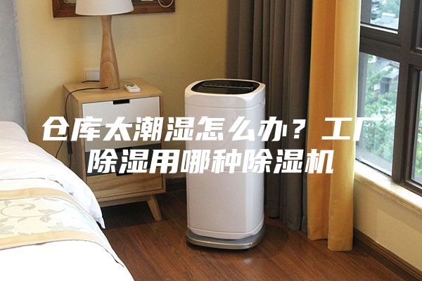 倉(cāng)庫(kù)太潮濕怎么辦？工廠除濕用哪種除濕機(jī)